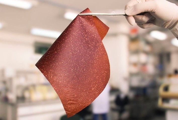 Pesquisadores transformam cascas de banana em filmes bioplásticos por meio de método simples