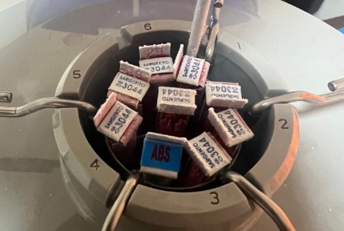 Genética bovina brasileira começa a ser exportada para Honduras