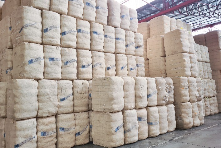 USDA apresenta leve aumento nas exportações de algodão do Brasil e redução nos estoques mundiais