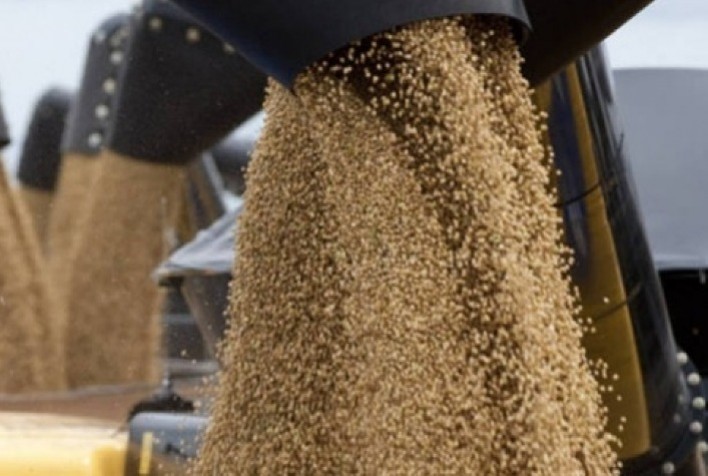 Soja registra pequenos ganhos em Chicago enquanto busca novas direções