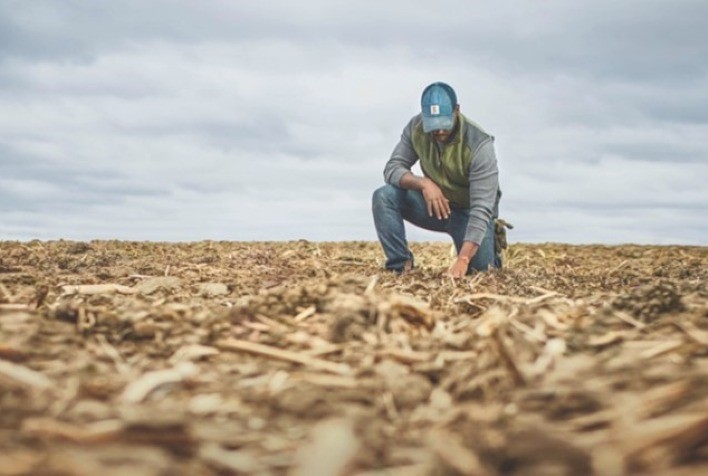 Contratações de profissionais no mercado de bioinsumos crescem 27% em 2024, revela Michael Page