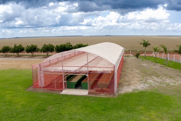 Boa Safra investe em inovações para assegurar a qualidade das sementes