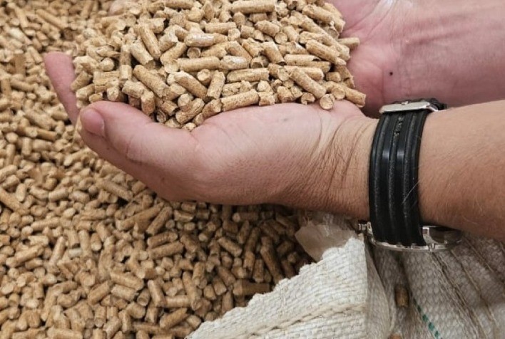 AGRO: Uso de pellets de madeira em granjas proporciona economia aos produtores rurais