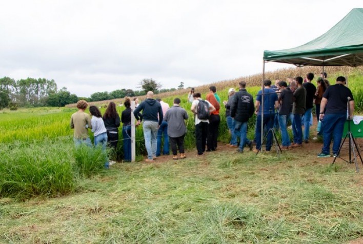 UFLA formaliza cooperação internacional para o desenvolvimento de cultivares de arroz para as condições de Angola