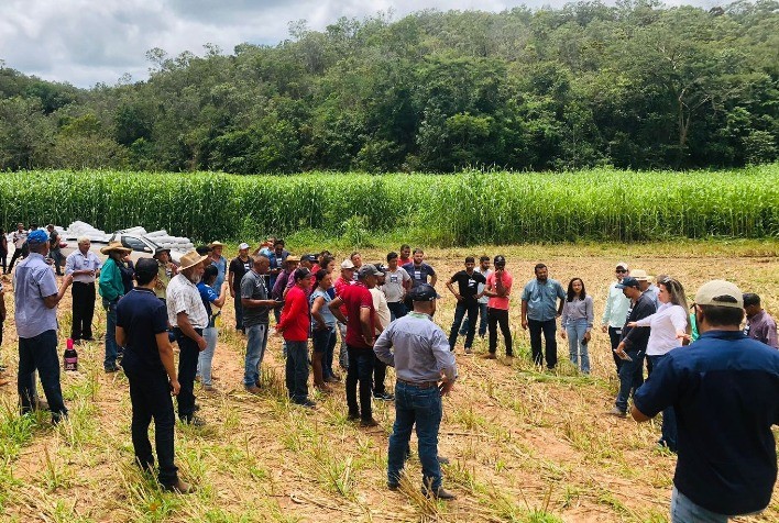 Silagem a partir de consórcio banca custo da renovação do pasto e deixa dinheiro no caixa