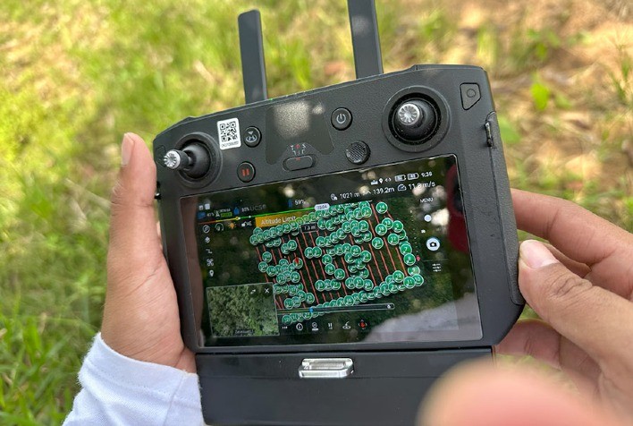 Metodologia com inteligência artificial identifica espécies florestais de valor comercial