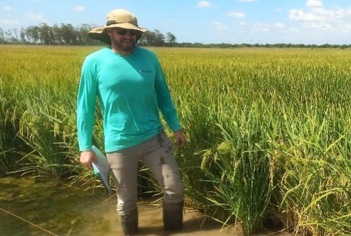 Sistema produtivo criado pela RiceTec atinge alto potencial produtivo nas lavouras brasileiras