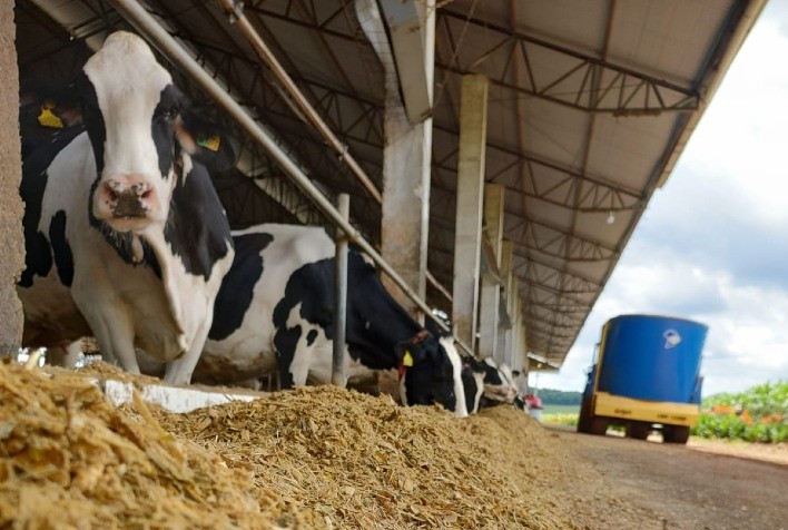 Interleite Sul: Com  menos trabalhadores no campo, tecnologia e gestão vêm garantindo a produção leiteira
