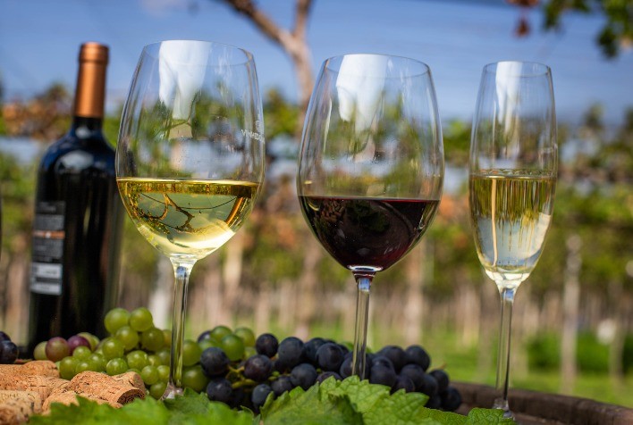 Definida a data do 2º Fórum de Vitivinicultura da Campanha