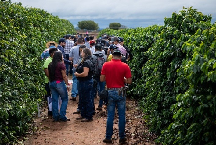 Dia de Campo da Fundação Procafé em Franca mostrará eficiência do uso de drones no cafezal