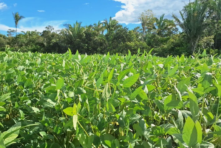 Maranhão investe em pesquisa e desenvolvimento para impulsionar produtores rurais