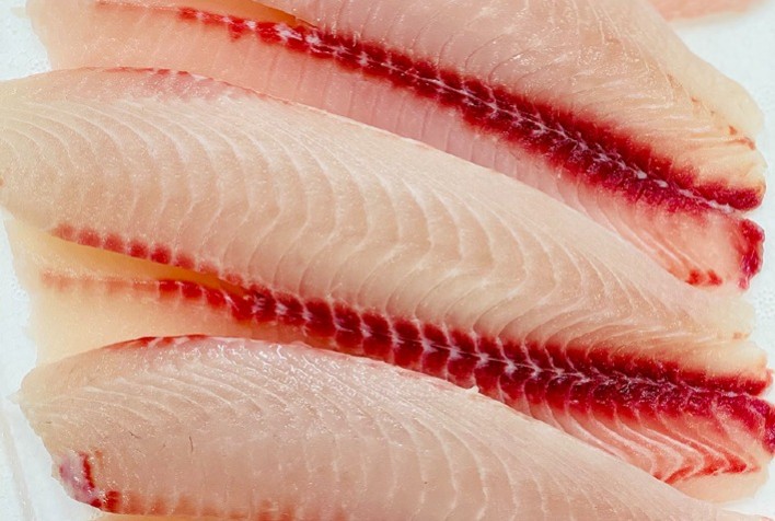 Farinha de tilápia ganha espaço em rações premium para Pets