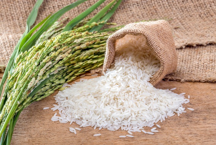 Cotações do arroz no RS seguem em alta devido à oferta restrita