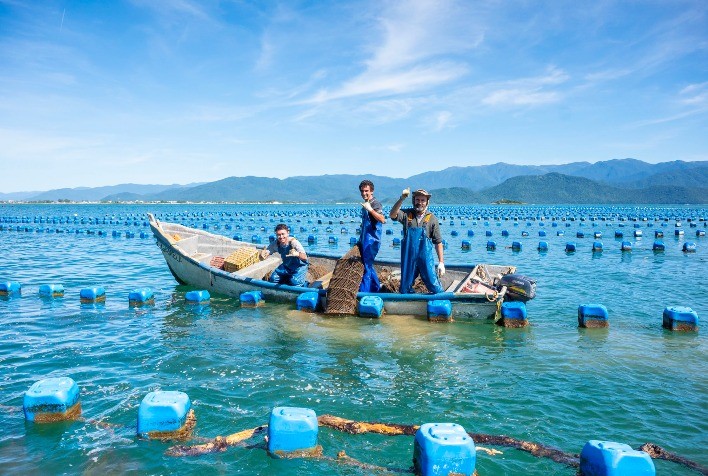 Visitantes admiram a excelência na produção de ostras em fazenda marinha de Santa Catarina
