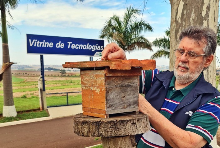 Abelhas aumentam produtividade da soja, revela estudo