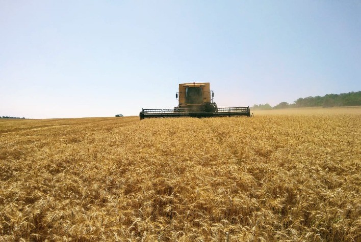 Preocupações com menor oferta global elevam preços do trigo em Chicago