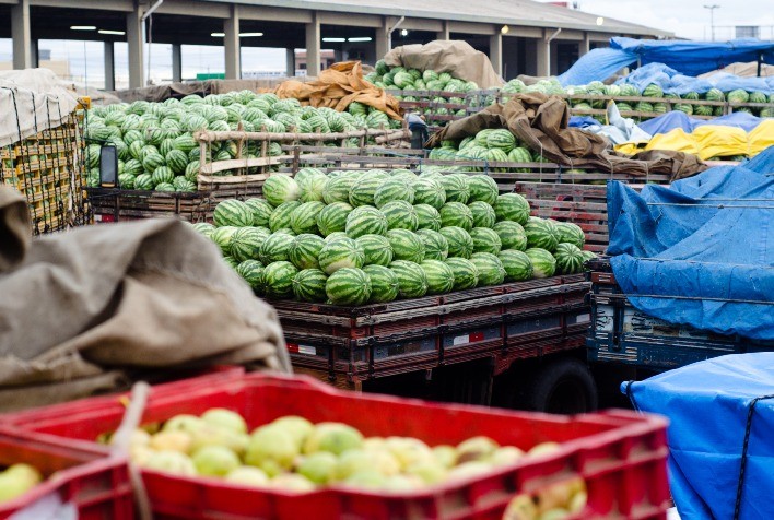 Projetos de irrigação em Minas Gerais produzem quase 300 mil toneladas de alimentos em 2023