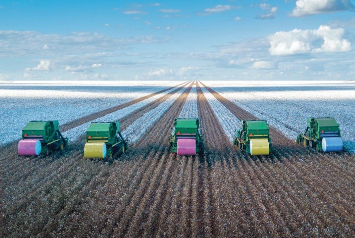 Produção maior de algodão no Brasil impulsiona exportações e reforça estoques, segundo safras