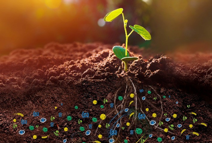 Microgeo lança linha inovadora de inoculantes para agricultura sustentável