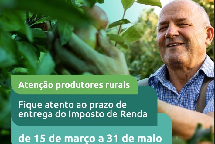 Prazo para entrega da declaração do Imposto de Renda vai até 31 de maio