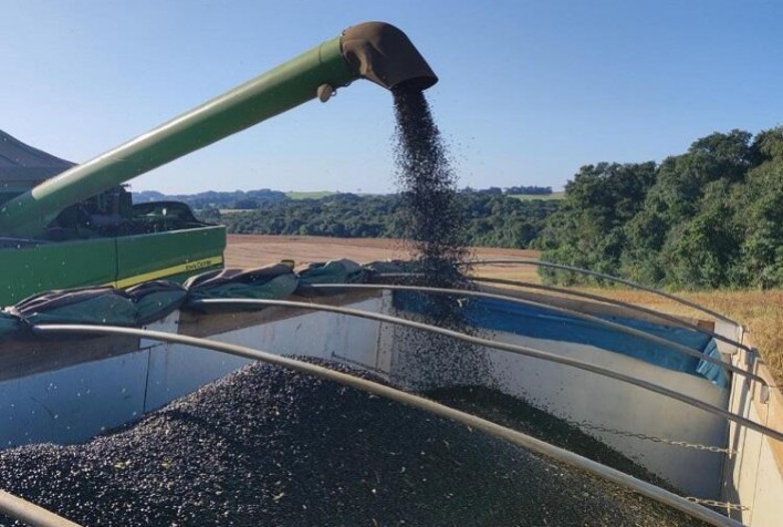 Produção recorde de Feijão-preto no Paraná abre oportunidade para exportações e novos negócios