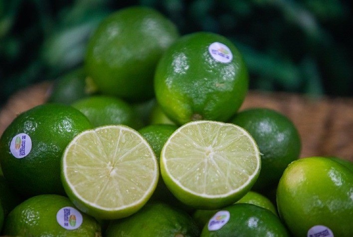 Preço da lima ácida Tahiti despenca quase 30% em uma semana com maior oferta