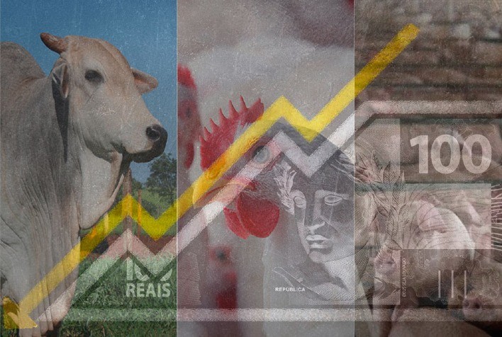 Desempenho do frango, boi e suíno vivos em abril e no primeiro quadrimestre de 2024