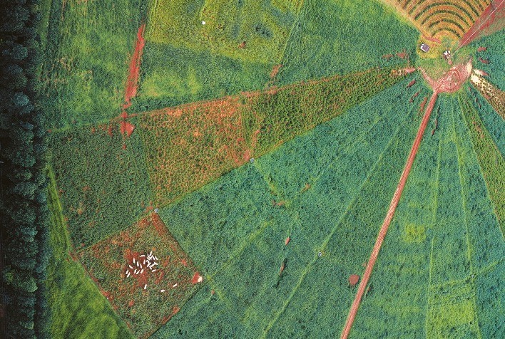 Cuidados com cercamento são cruciais para pastejo rotacionado bem-sucedido