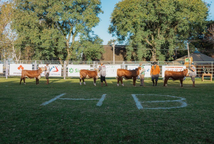 Nacional do Hereford e Braford projeta superar expectativas em 2024