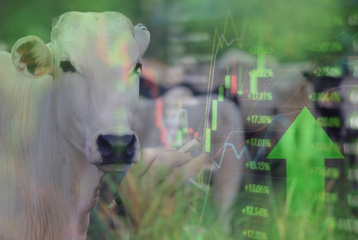 Indicador do Boi Gordo CEPEA/B3: 30 anos de compromisso com a pecuária brasileira