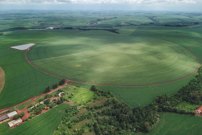 Preço das Terras agricultáveis no Paraná cai 5%