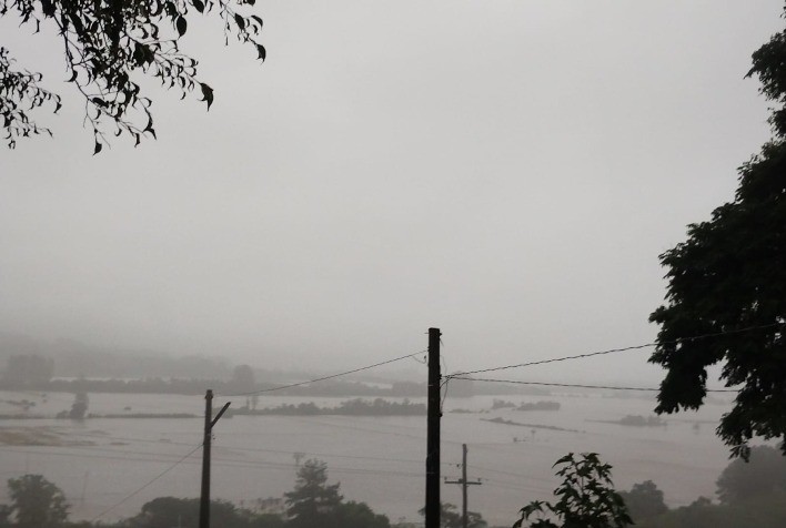 Federarroz monitora situação das chuvas em lavouras arrozeiras gaúchas