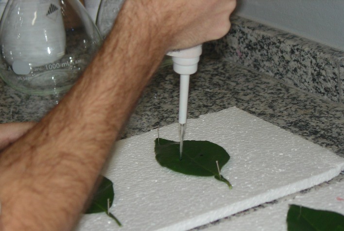 Programa avalia qualidade de mais de 100 adjuvantes agrícolas nas lavouras brasileiras