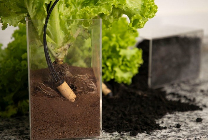 Sensor de irrigação inteligente aumenta produtividade e gera economia de água na agricultura