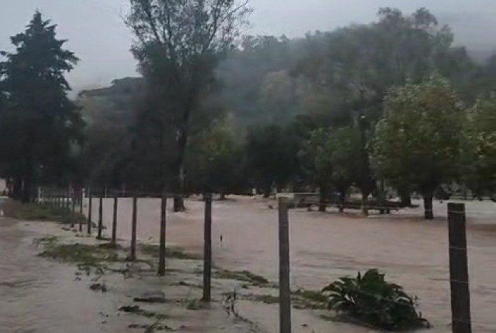 Lavouras são atingidas por fortes chuvas no RS