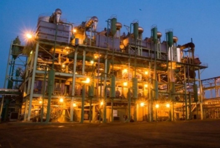 Biomassa registra maior crescimento em uma década