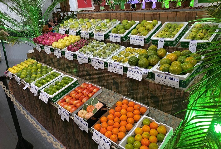 Festas do circuito das frutas em São Paulo atraem quase 1 milhão de visitantes