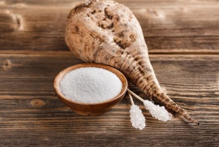 Agricultores europeus enfrentam desafios em plantação de beterraba sacarina