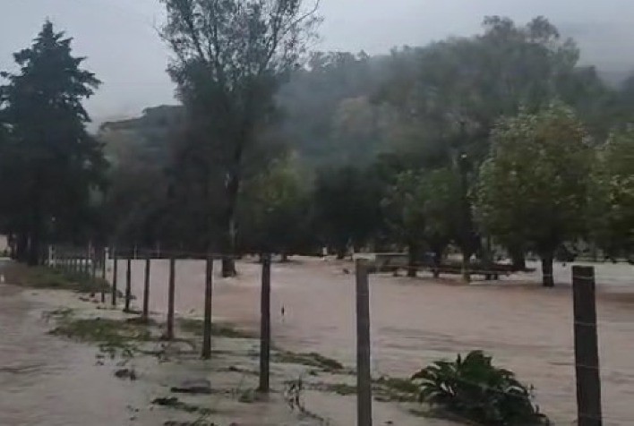 ABPA monitora impacto da calamidade na avicultura e suinocultura do RS