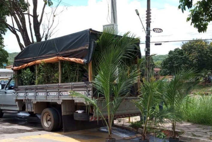 Agrodefesa combate o comércio ambulante de mudas e plantas ornamentais em Goiás