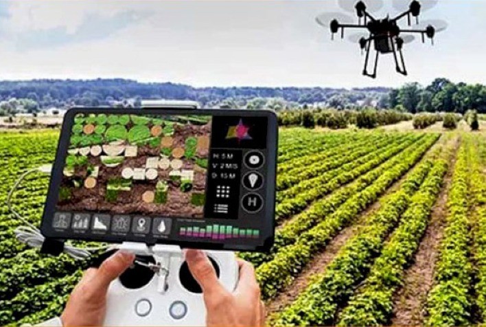 Embratel lança solução de inteligência artificial para gerenciamento de plantas daninhas em soja e cana-de-açúcar