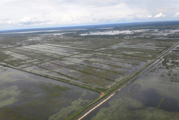 Chuvas no RS podem causar perdas de até 10% na safra de arroz e prejuízo de R$ 68 milhões