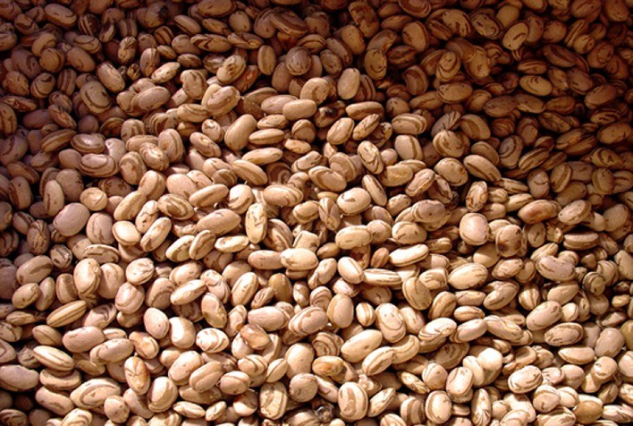 Vendas de feijão no varejo atingem bom ritmo, mas produtores do Paraná ficam preocupados