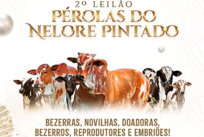 Leilão Pérolas do Nelore Pintado oferece 87 lotes de alta qualidade neste sábado