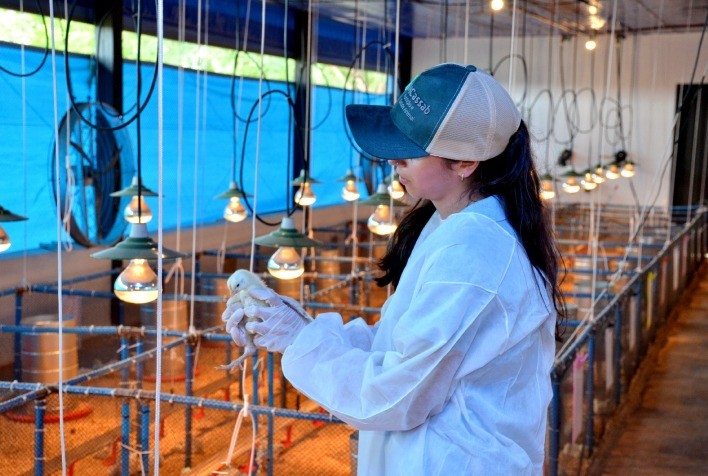 MCassab e Universidade Brasil inauguram laboratório para pesquisa em tecnologia avícola