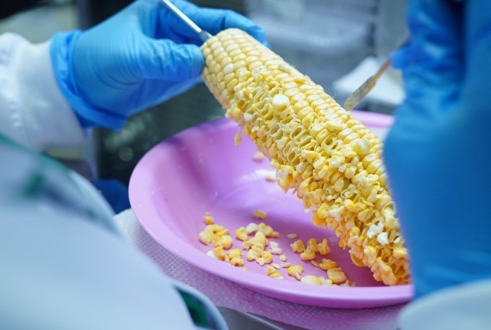 Venda direta facilita acesso de agricultores a bioinsumos