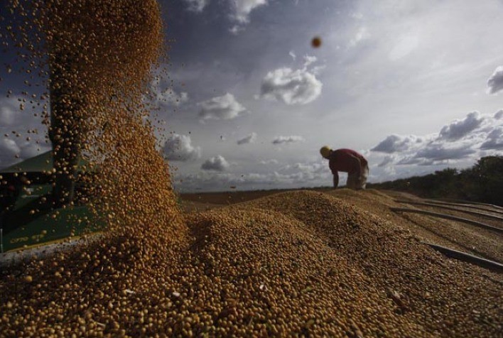 Mercado de soja em queda: Influências climáticas e de plantio