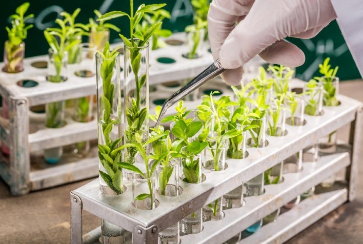 Kynetec Revela Estudo Inovador sobre Bioinsumos no Agronegócio