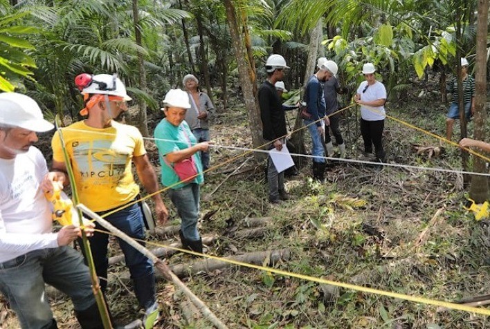 Agricultores Recebem Orientação para Manejo Sustentável do Açaí