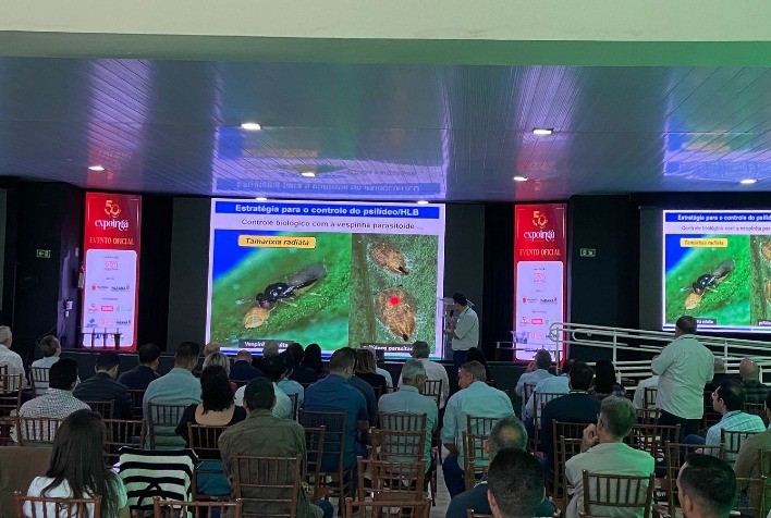 Paraná Intensifica Luta contra o Greening com Apoio da Indústria